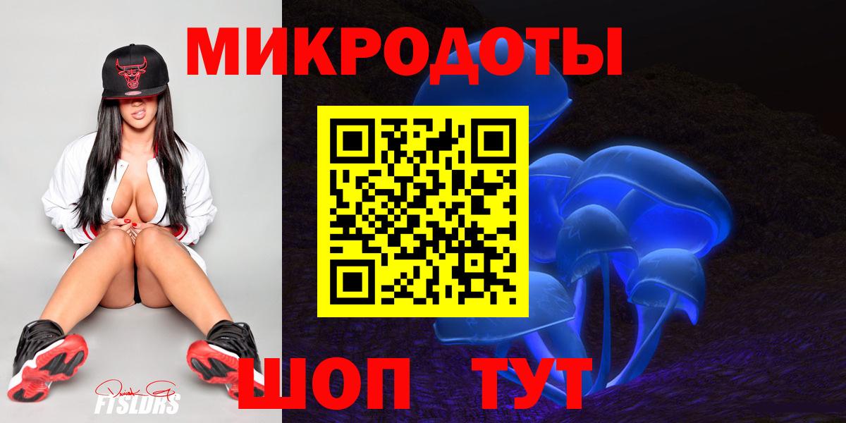 Галлюциногенные грибы Psilocybe Свободный