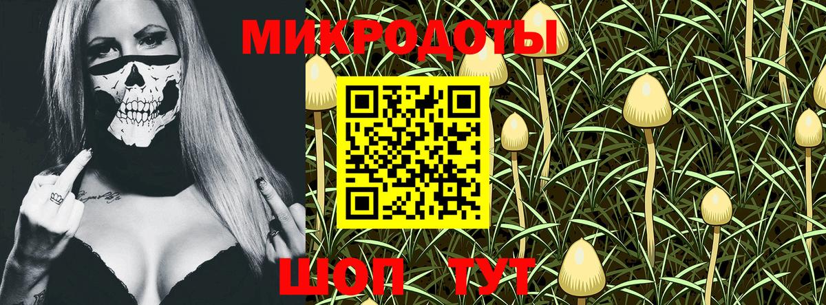 Псилоцибиновые грибы Cubensis  Галлюциногенные грибы Psilocybine cubensis  Свободный  наркошоп  Вход с VPN 